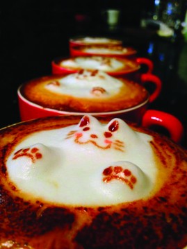 BARISTA ART: It takes 30 minutes to prepare the foam to turn them into cute little animals. PHOTO BY CHOCK OF BEANS FACEBOOK